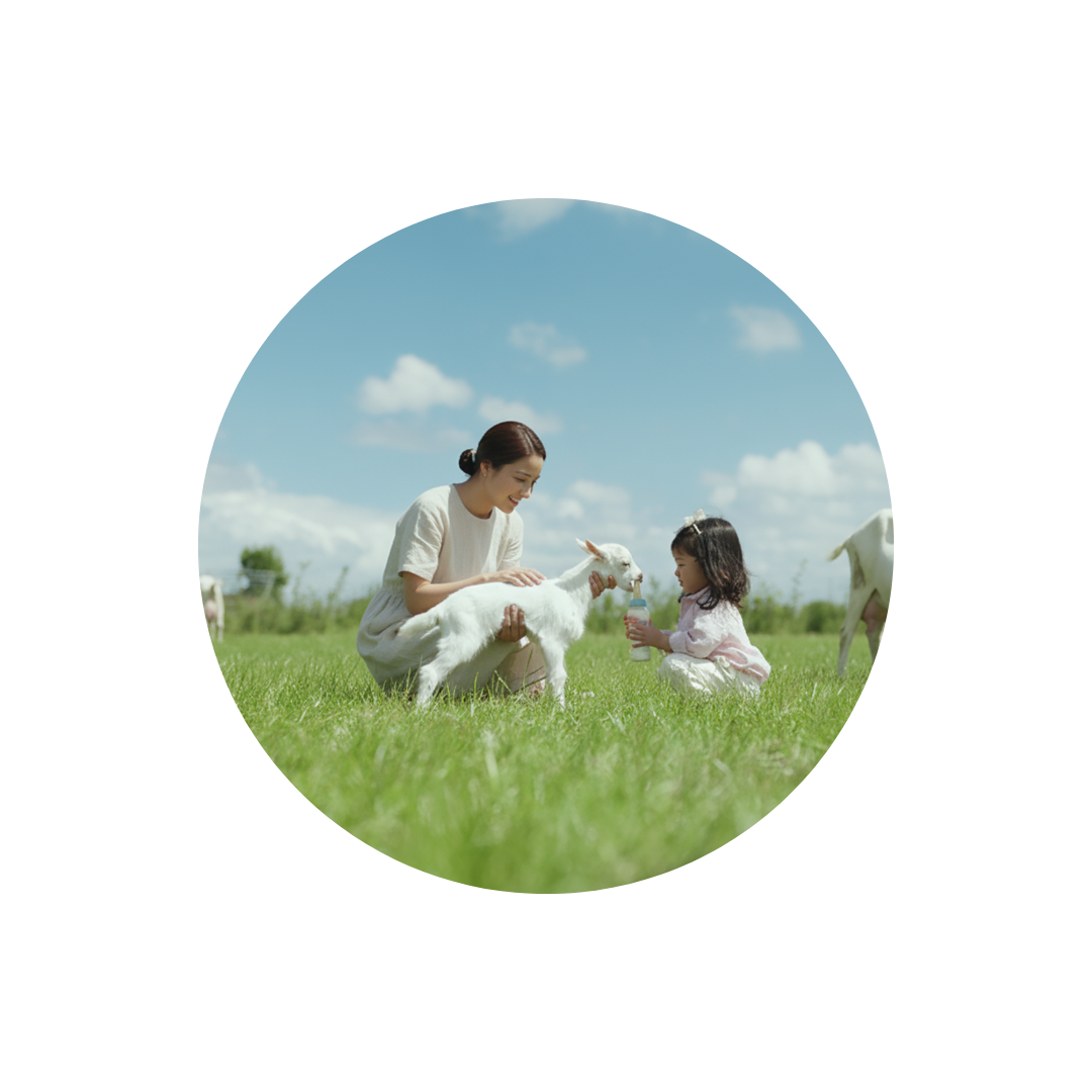 Webinar Website