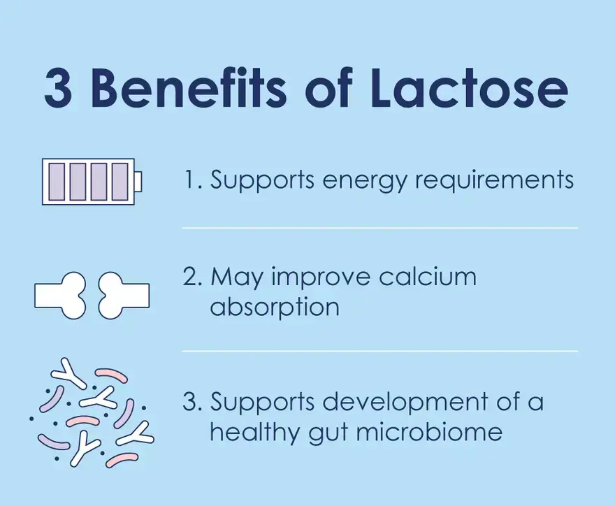Why is Lactose Important in Infant Formula?